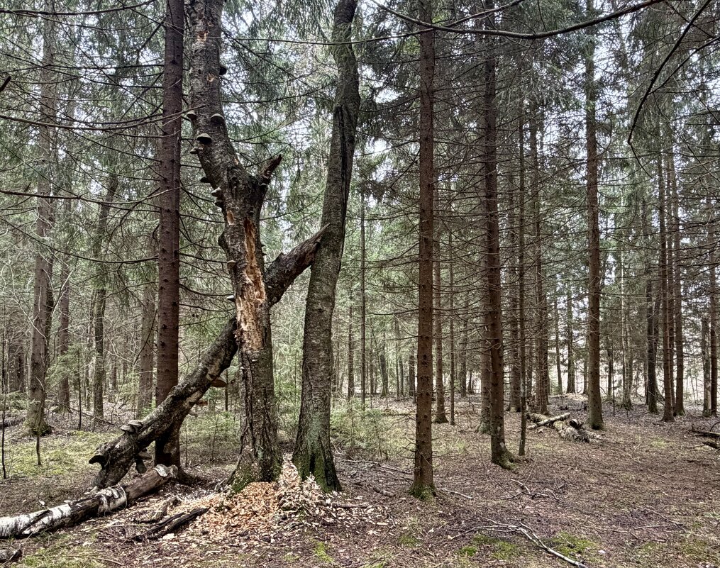 Чей то знак! - Любовь 