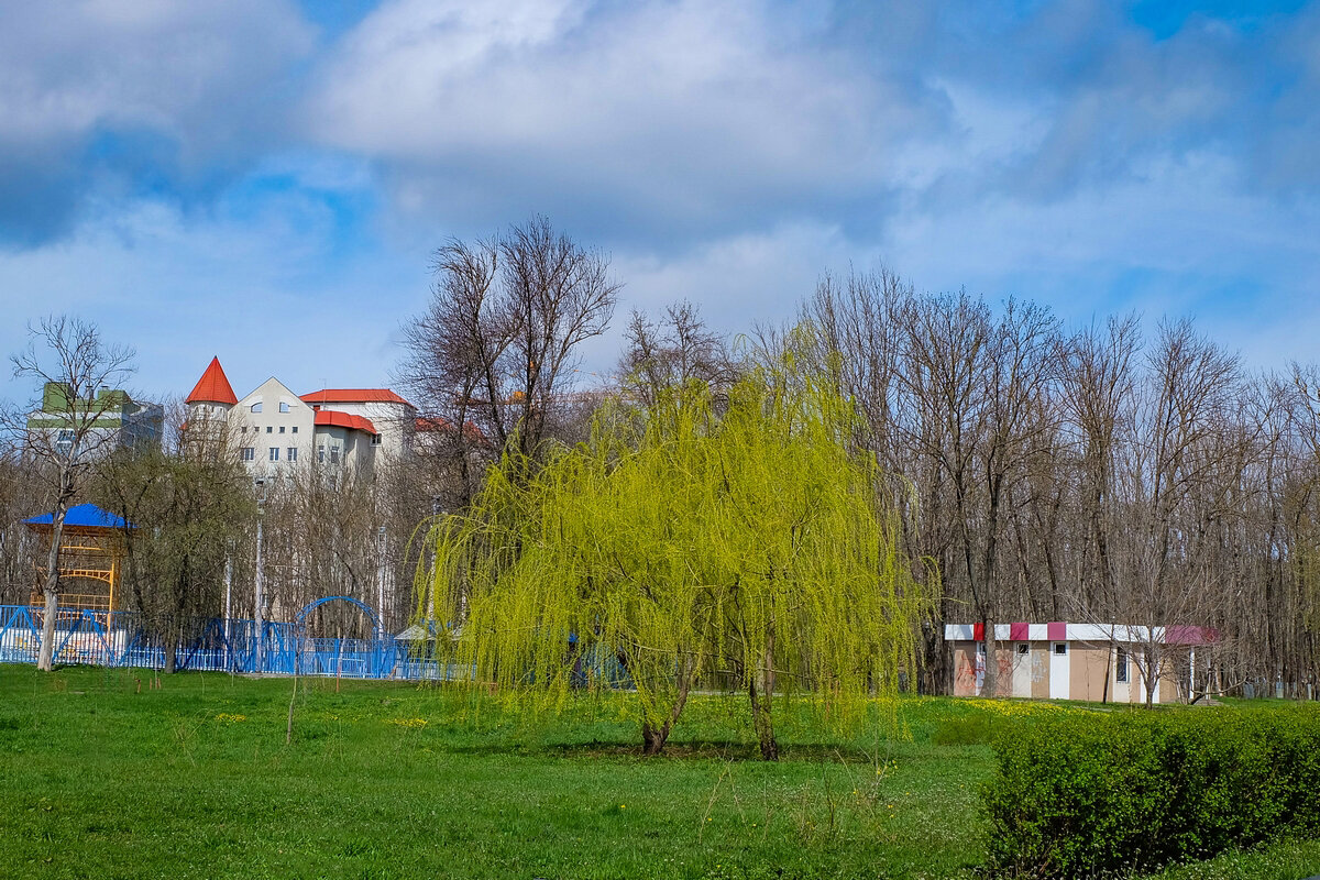 Красота пробуждения природы ... - Ravile 