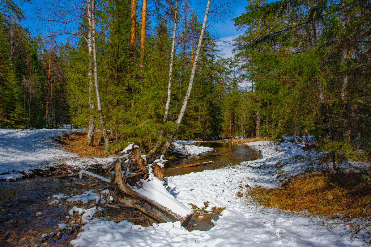 Весенний день - Vladimbormotov 
