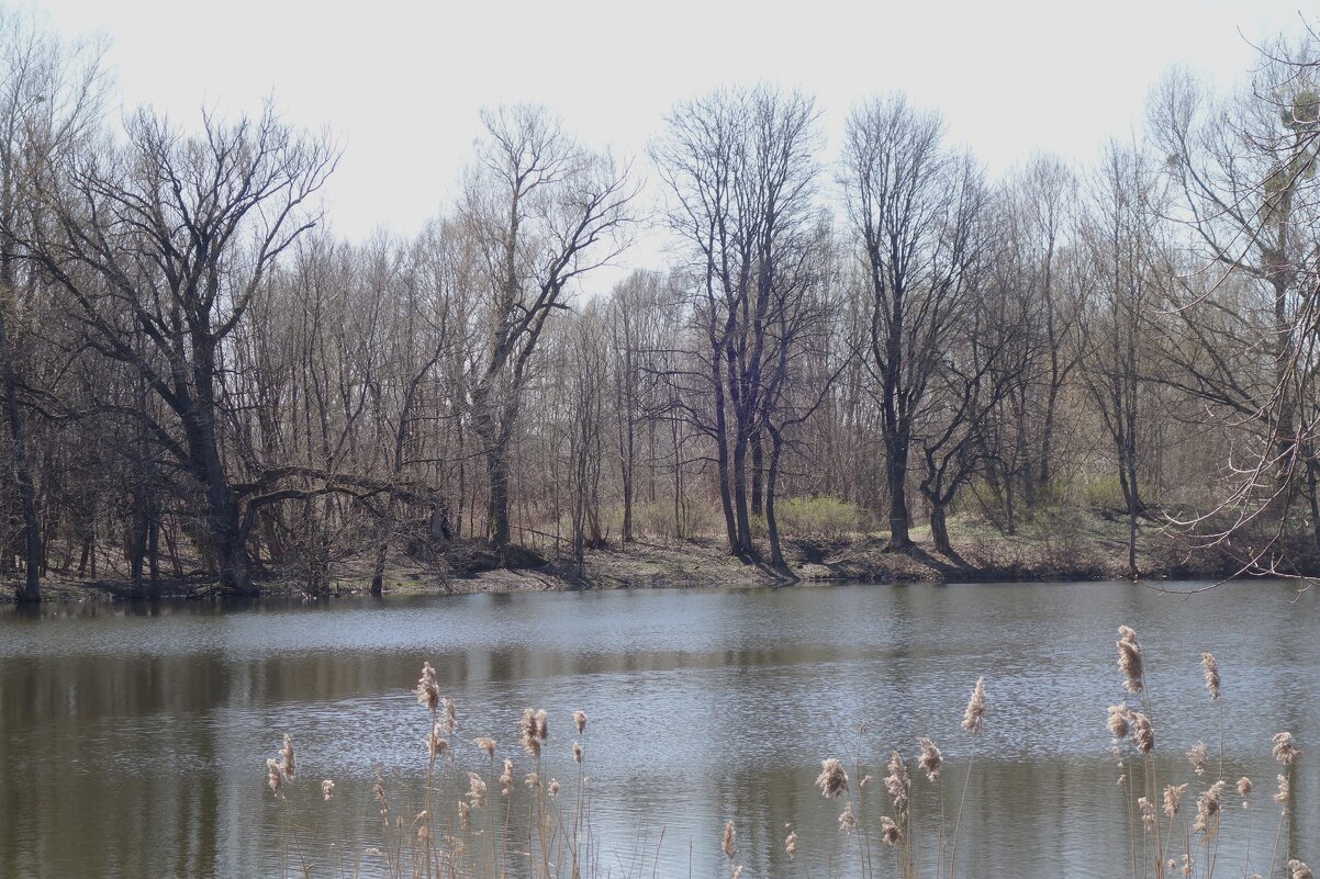 Апрельский пейзаж - Рита Симонова