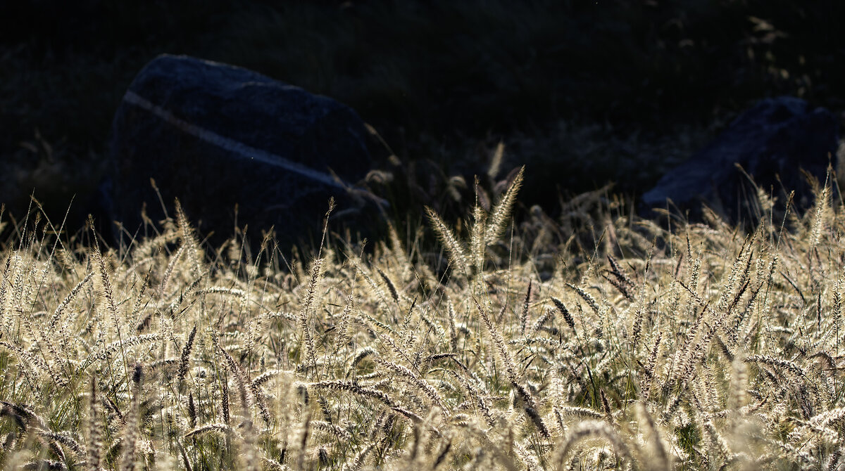 Ностальгия. - Alexander Amromin