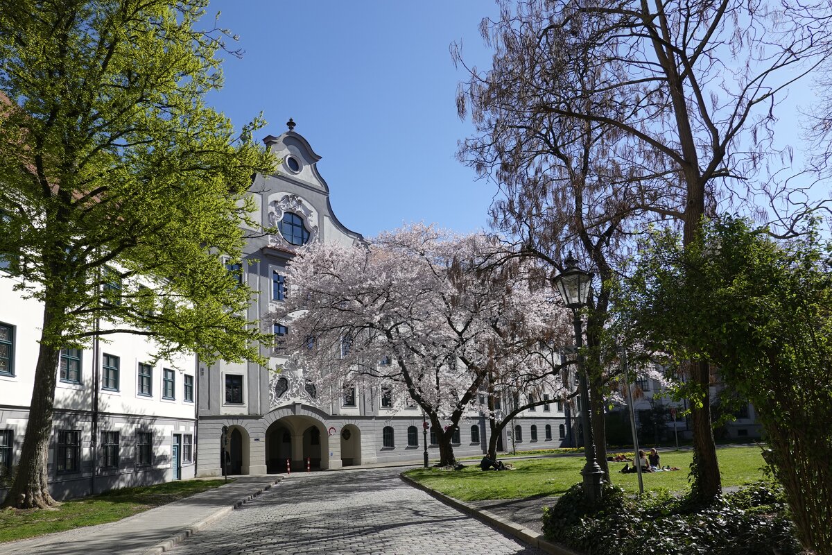 Весна в городе!... - Галина 