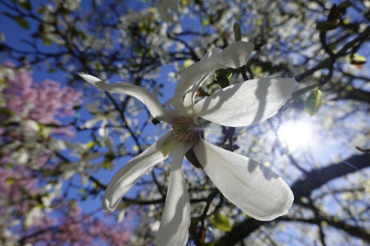"Улыбчивый апрель, держись, Лети легко под облаками..." - Галина 