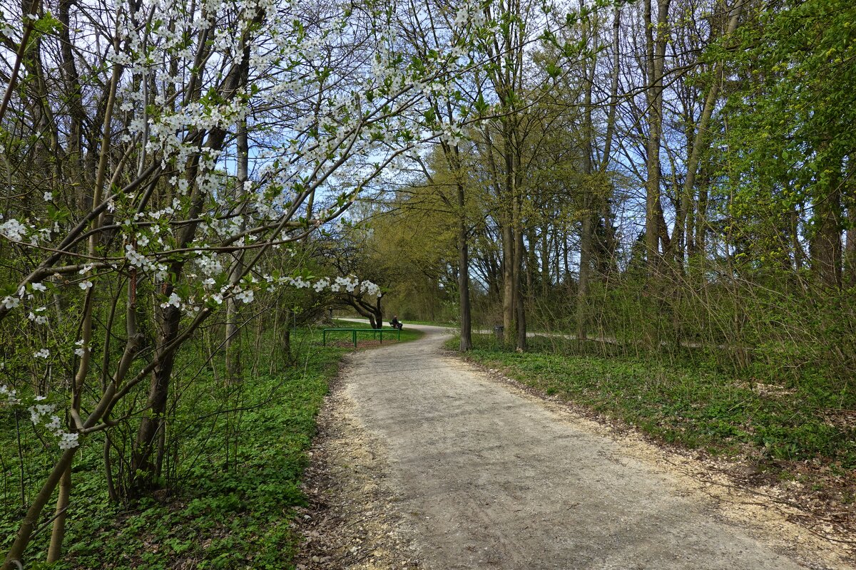 "..Весна шагает!.... - Галина 