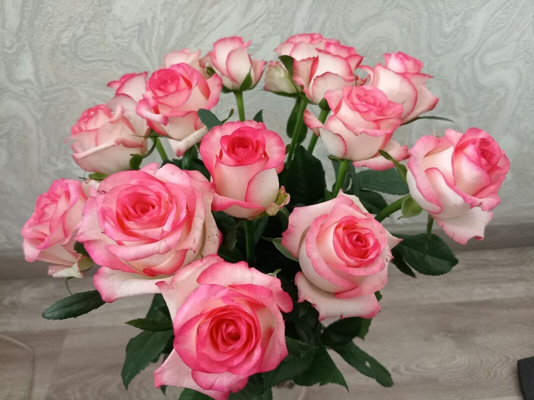 Розовое чудо - Надежда 