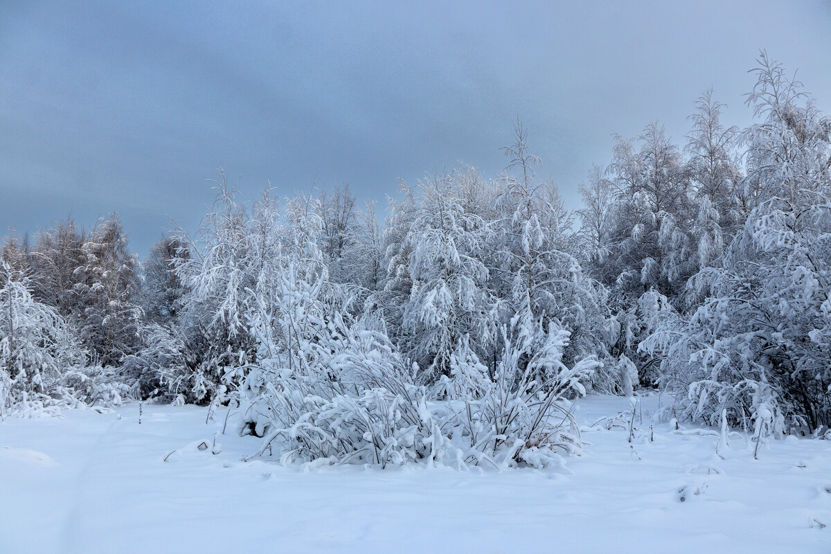 *** - Андрей Дурапов