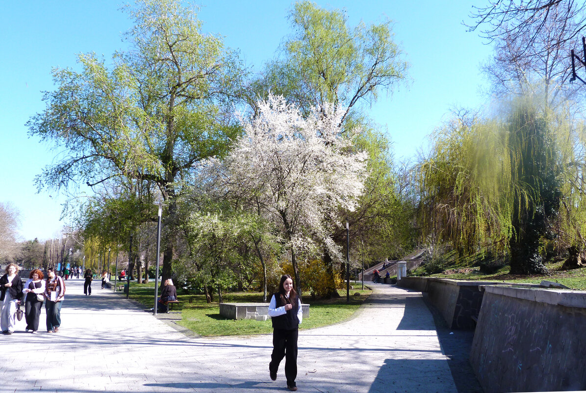 Весенняя набережная - Валентин Семчишин Весенняя набережная - Валентин Семчишин