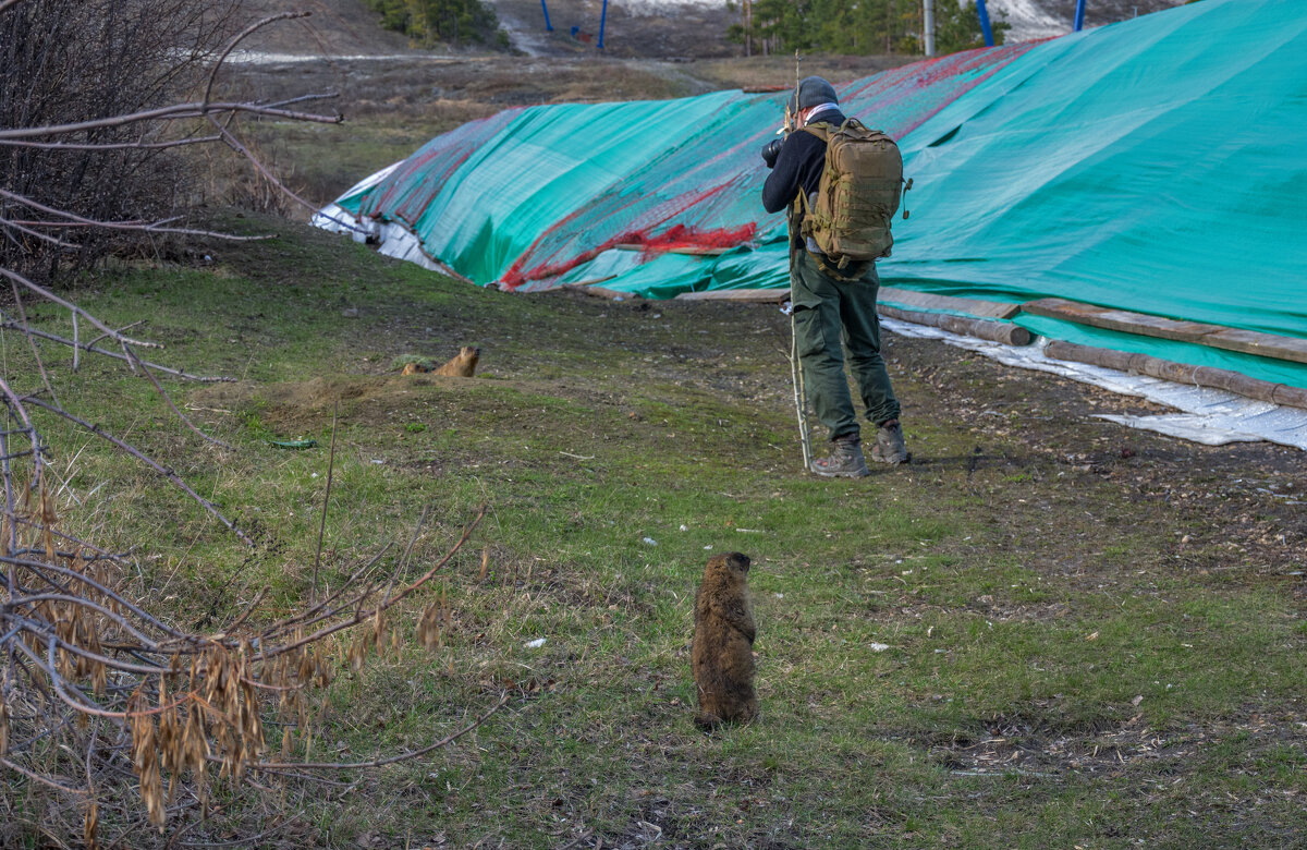 Когда уже ты меня начнешь снимать? - Наталья Димова Когда уже ты меня начнешь снимать? - Наталья Димова