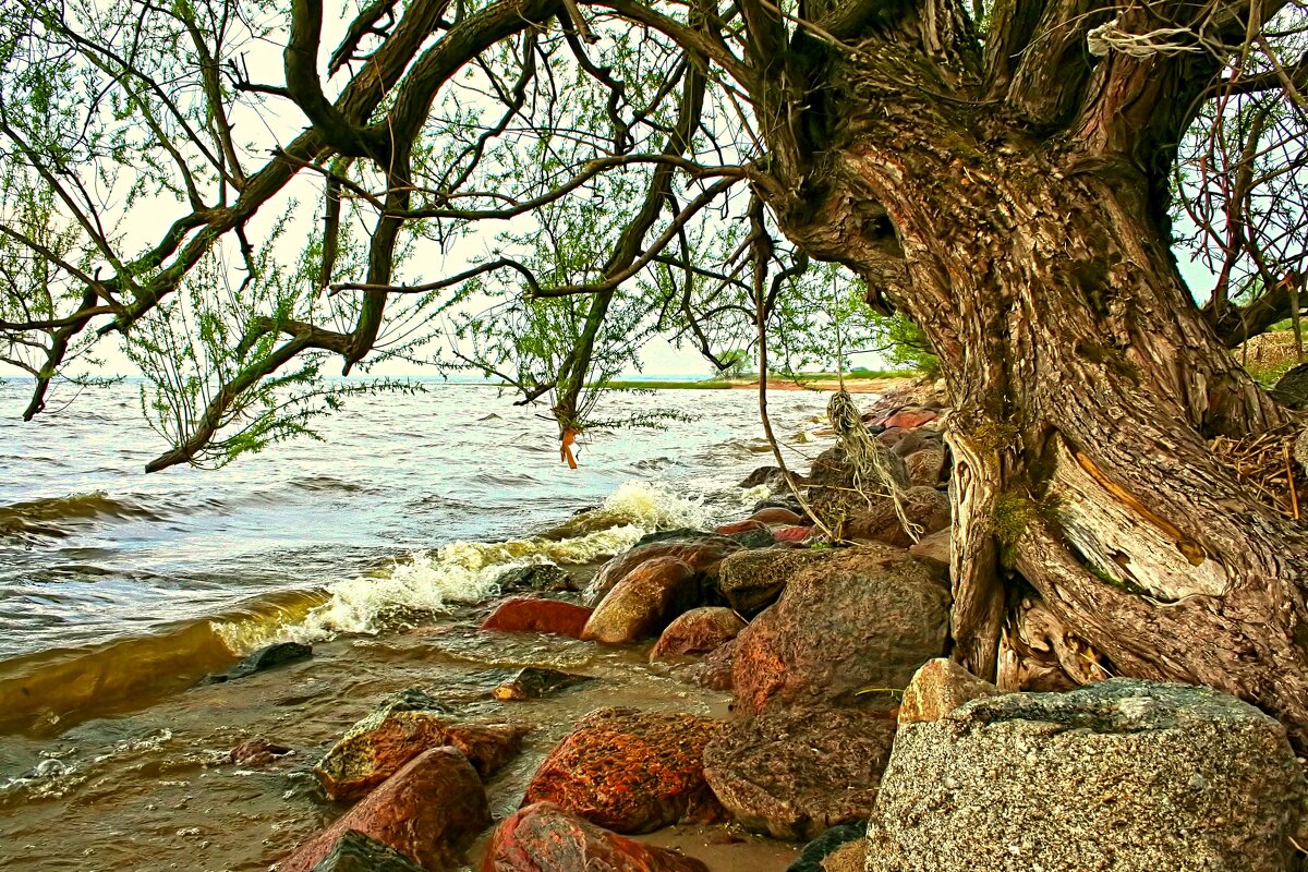 Весна, первая зелень - В.И 