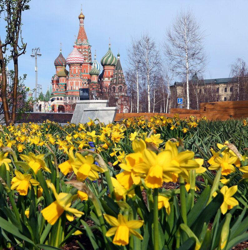 Зарядье 13 апреля - Михаил Бибичков Зарядье 13 апреля - Михаил Бибичков