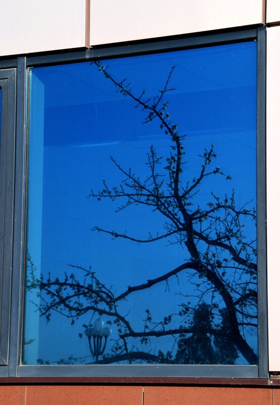 *** - Павленко Михаил 