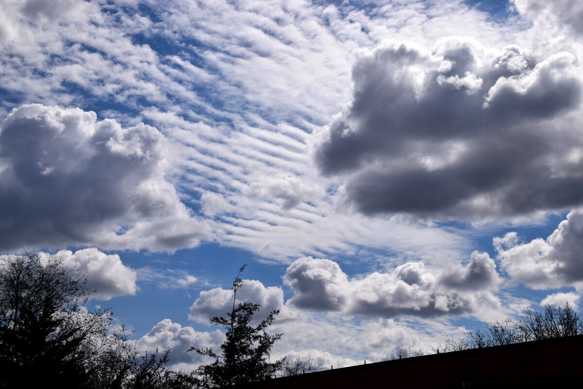 *** - Павленко Михаил 