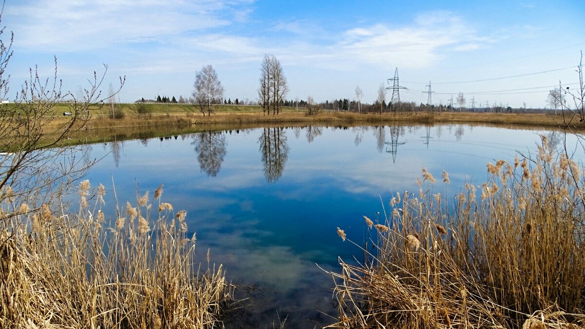 Смоленская область в середине апреля. - Милешкин Владимир Алексеевич 