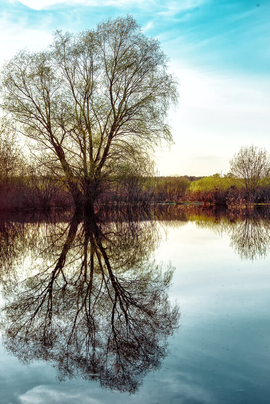 Отражение - Олег Подлесных