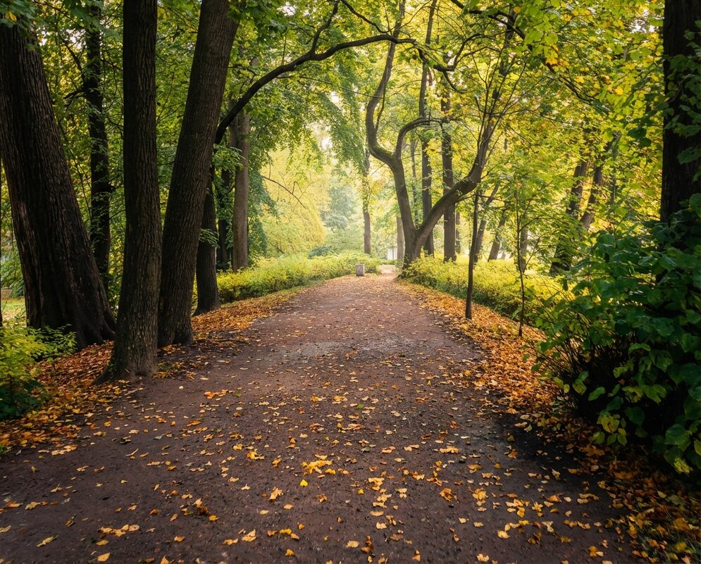 Осенняя дорожка в парке - Лилия 