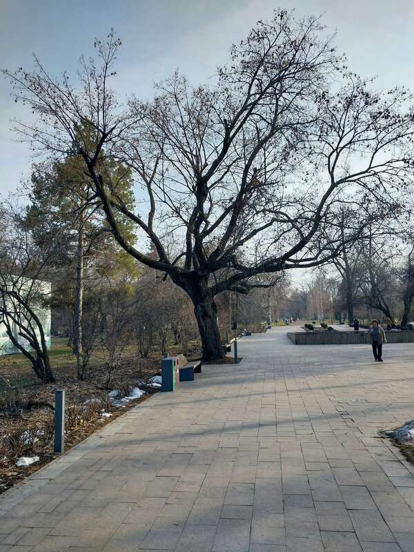 Ботанический сад. - Murat Bukaev 