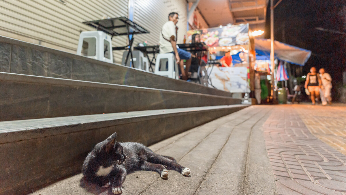 ... - Жора Житников