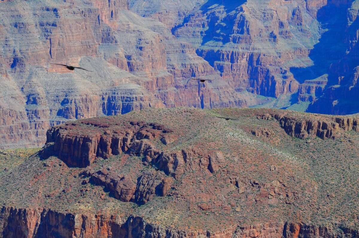 Grand Canyon Skywalk, Заповедник Хуалапай - Таня Фиалка