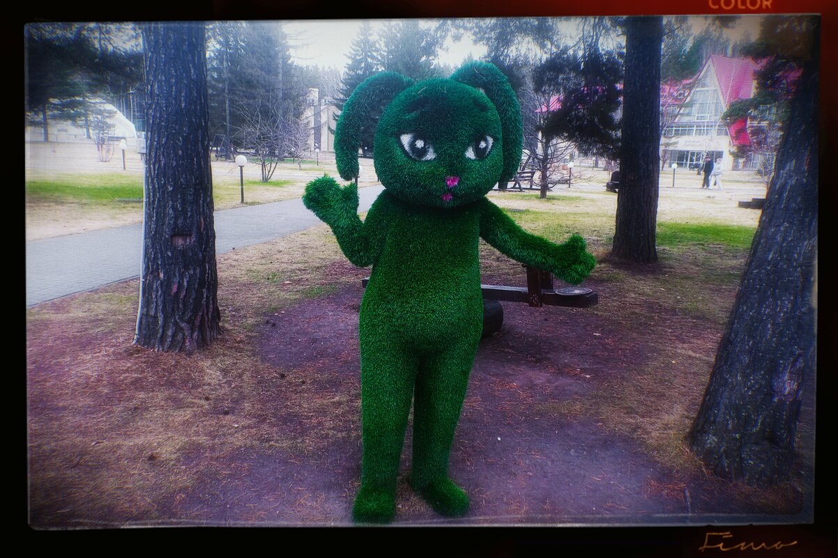 Кролик по имени:Газон Кустикович - Игорь Солдаткин