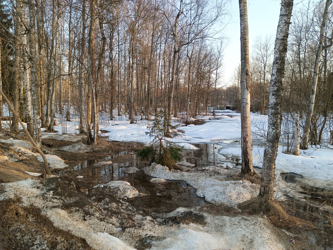 Ещё вчера была зима. - Леонид Иванчук