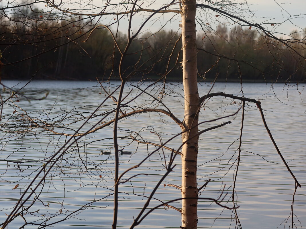 У реки - Дмитрий И_ У реки - Дмитрий И_