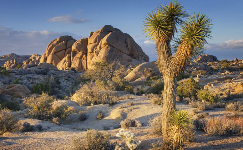 Joshua Tree National Park - Валерий Кокорев