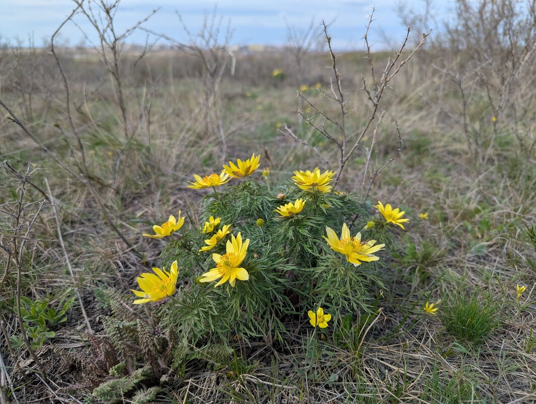 Апрель - Андрей Хлопонин Апрель - Андрей Хлопонин