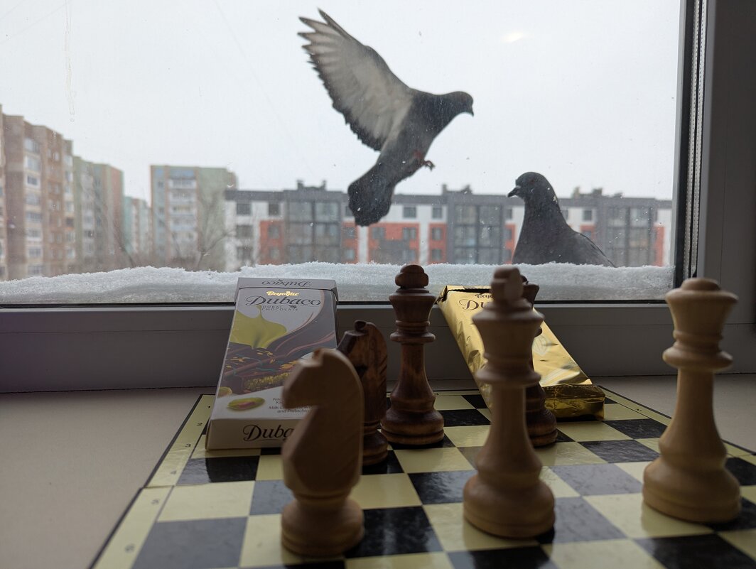 Мир на Земле - Андрей Хлопонин