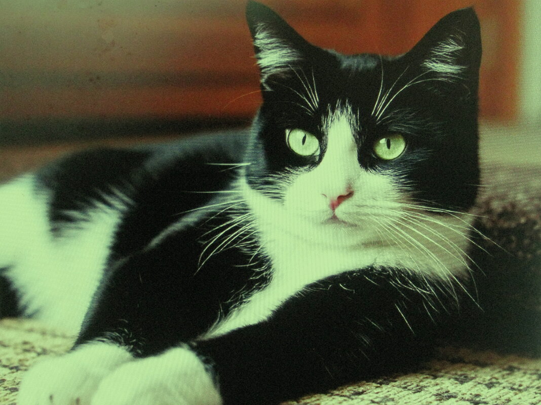 Я отдыхаю - Людмила Смородинская