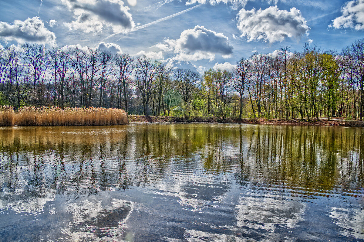 Рыбный пруд - Jakob Dick