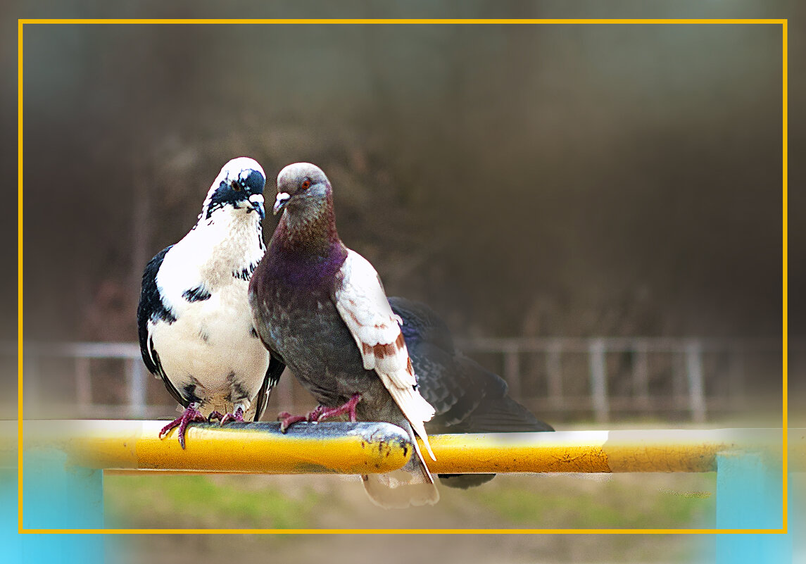 Душевный разговор - Владимир Кроливец Душевный разговор - Владимир Кроливец