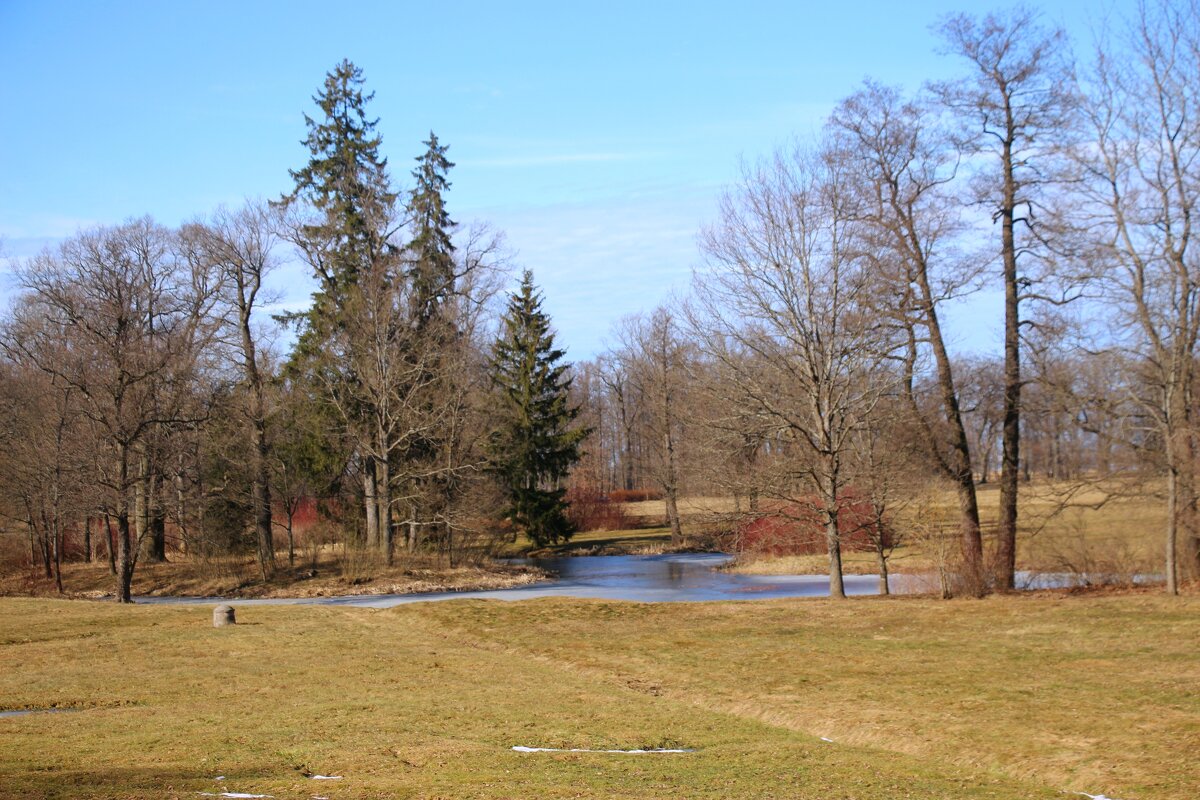 Парк Александрия - Наталья Герасимова