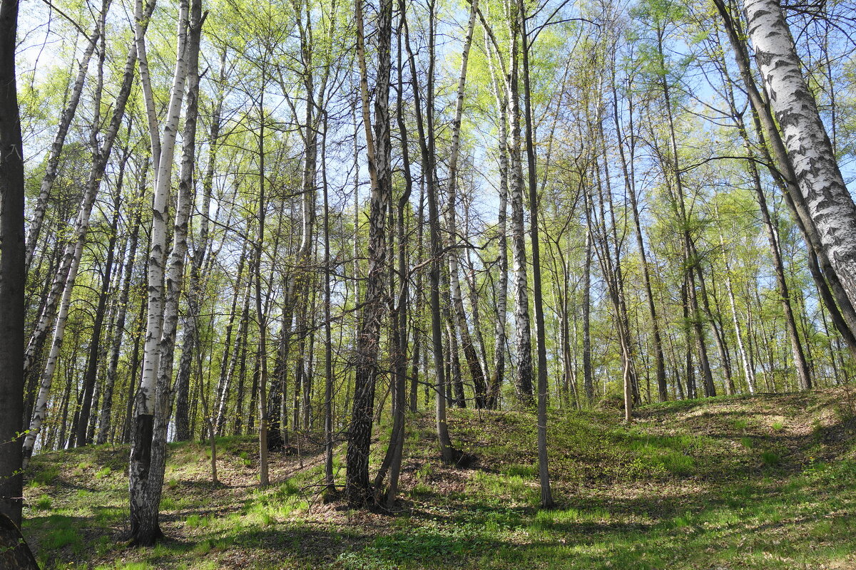 Апрельские зарисовки - Рита Симонова
