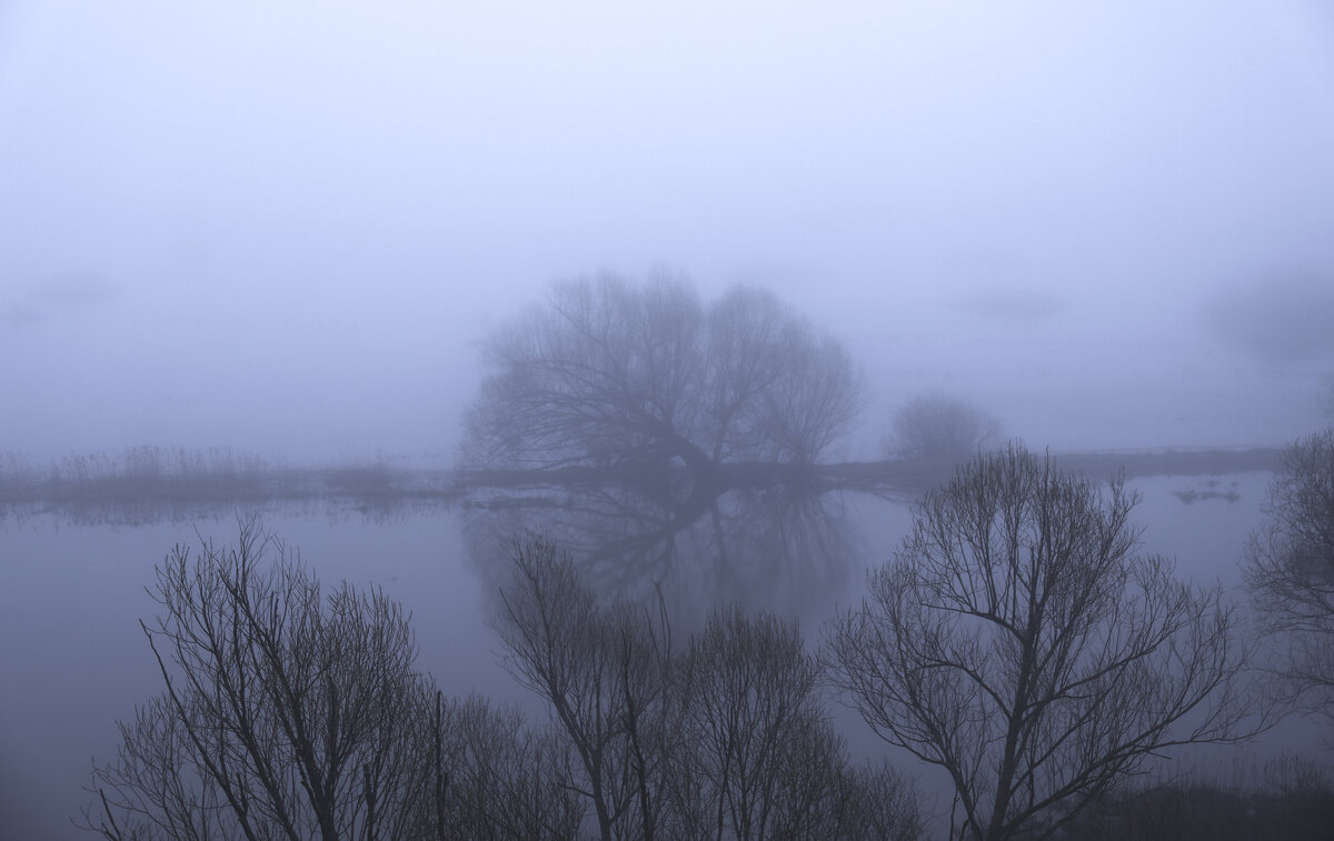 .... - Вадим Виловатый