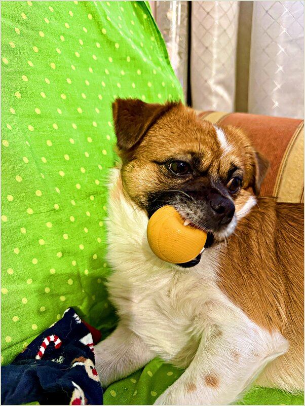 ******** - Валерия Комова ******** - Валерия Комова