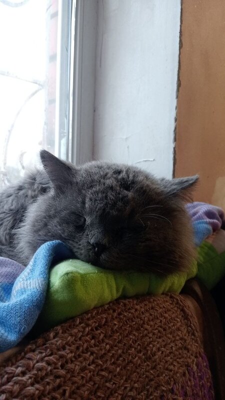 Устал - Михаил Столяров