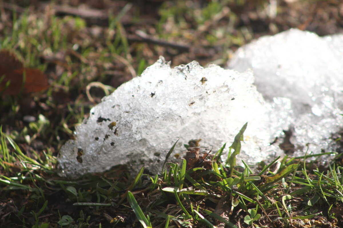 Серенада уходящего снега - олег свирский 
