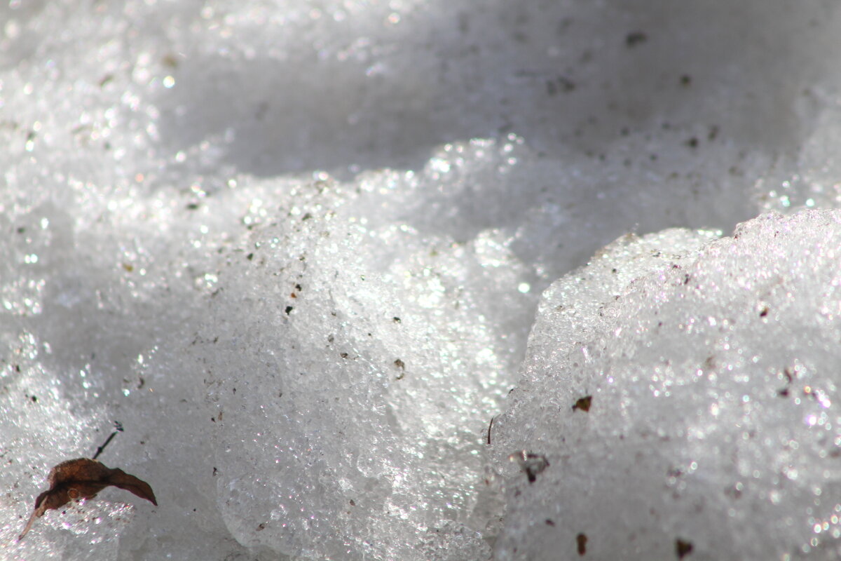 Серенада уходящего снега - олег свирский Серенада уходящего снега - олег свирский