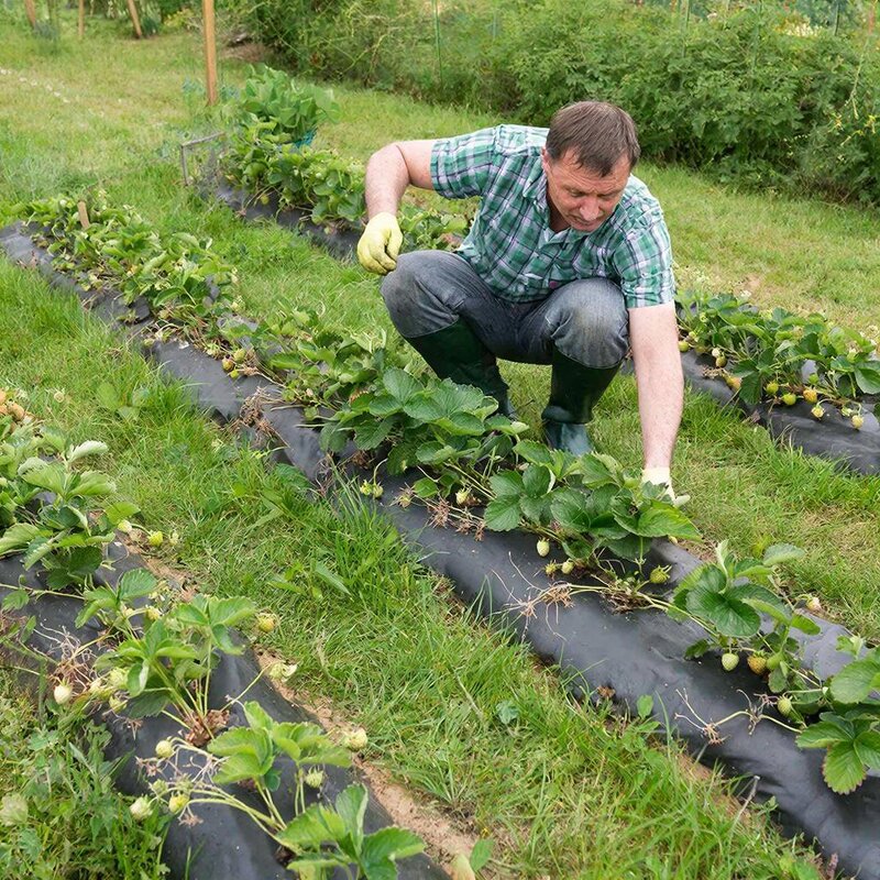 Пора на дачу! - МАРИЯ ПОПОВА