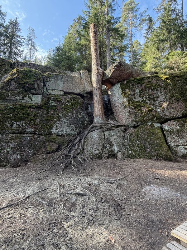 Выборг. Скульптурный парк Монрепо - Ирэн Выборг. Скульптурный парк Монрепо - Ирэн