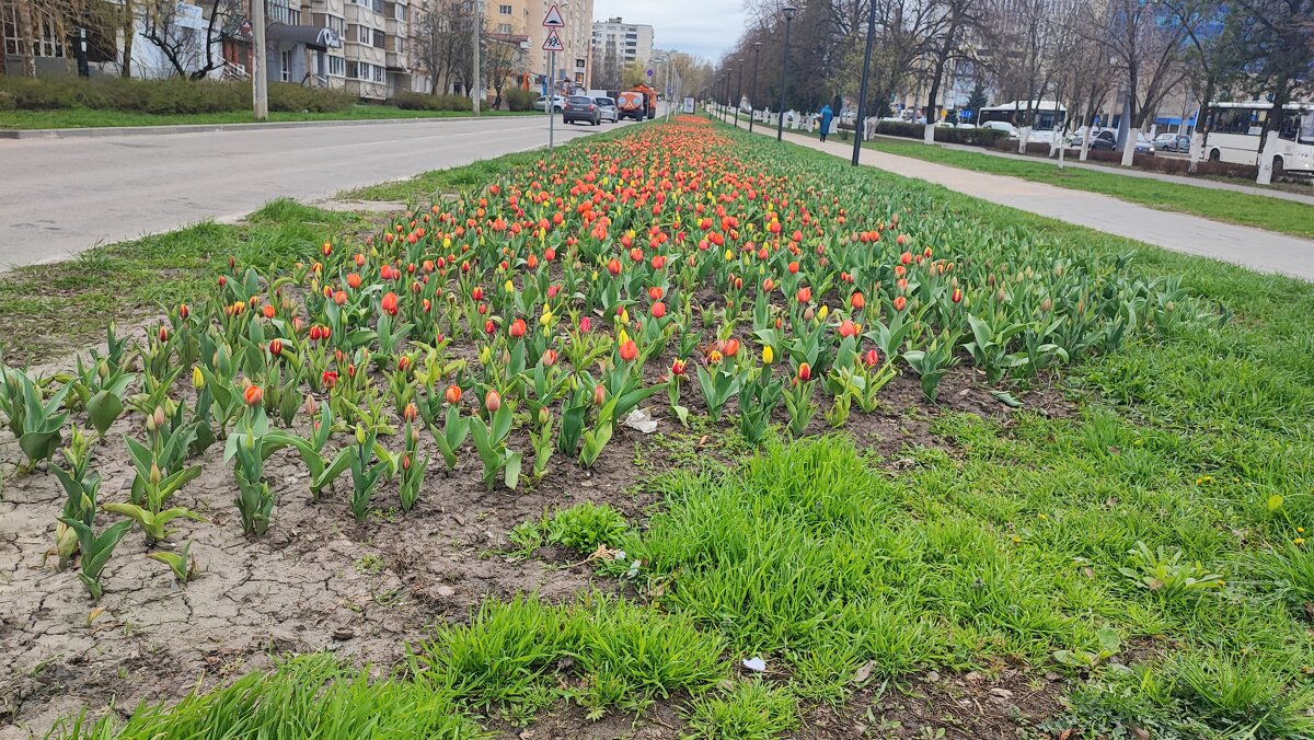 ,,, - Сергей Тимоновский