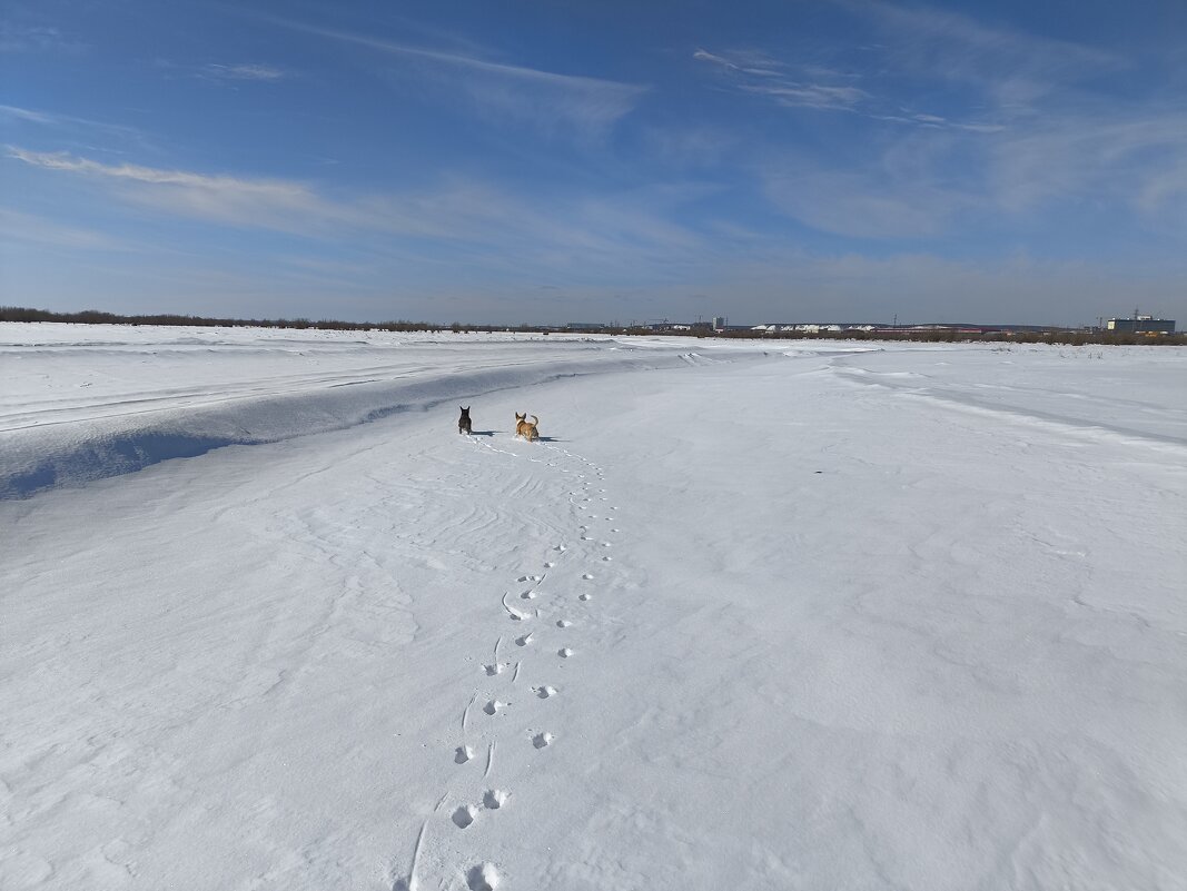 Прогулки - Anna Ivanova