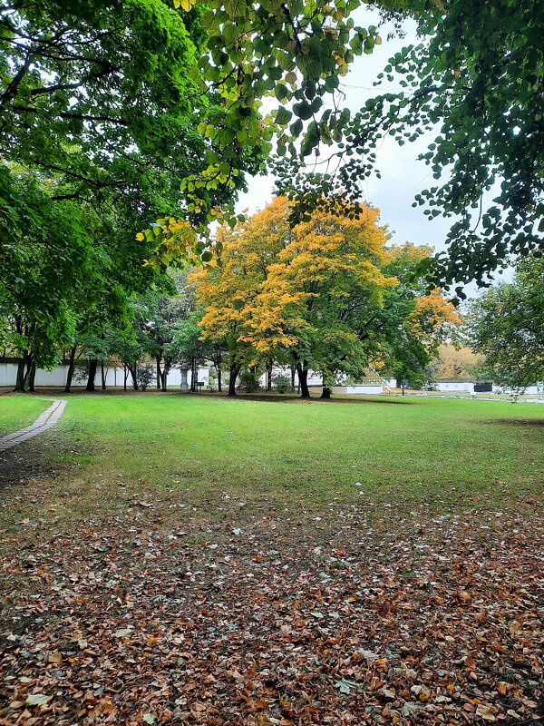 Осень в Коломенском - Irene Irene