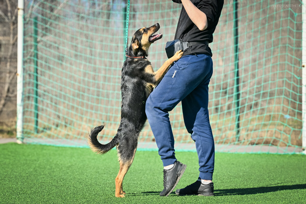 *** - Андрей Л. В.