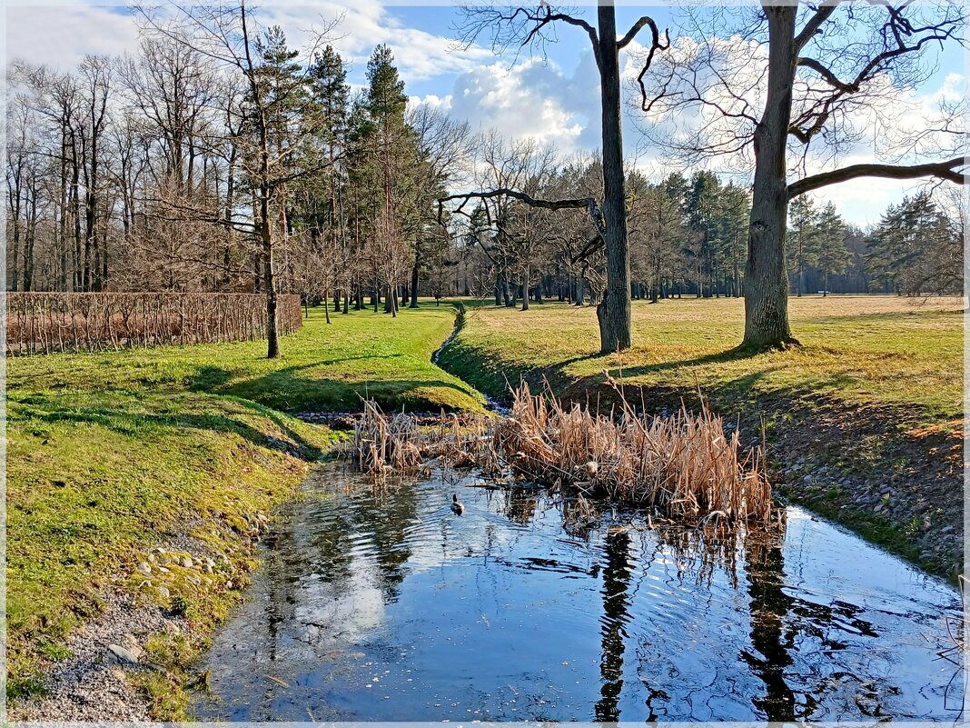 Маленький парковый прудик. - Лия ☼