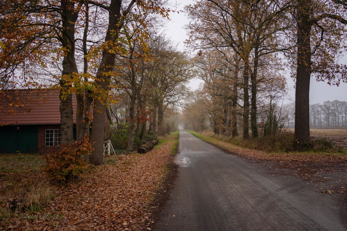 Дорога в осень... - Николай Гирш Дорога в осень... - Николай Гирш
