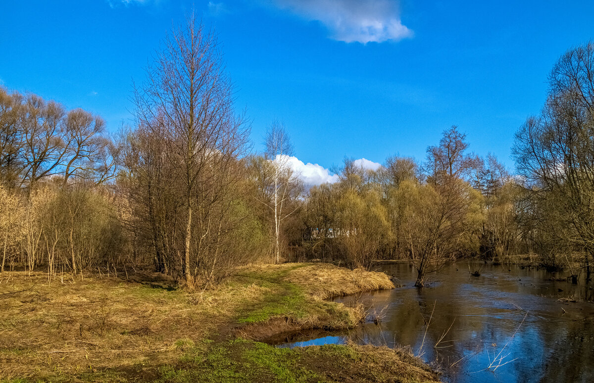 Весенняя прогулка 4. - Андрей Дворников