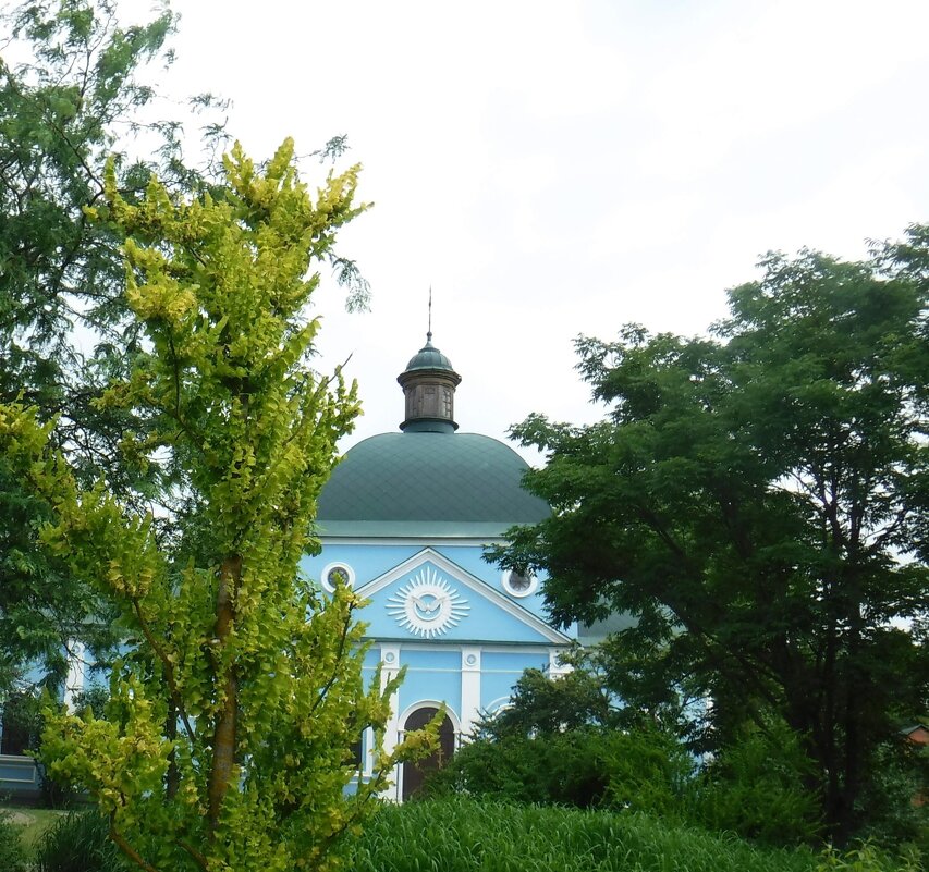 Площанская пустынь - Елена Сухорученкова