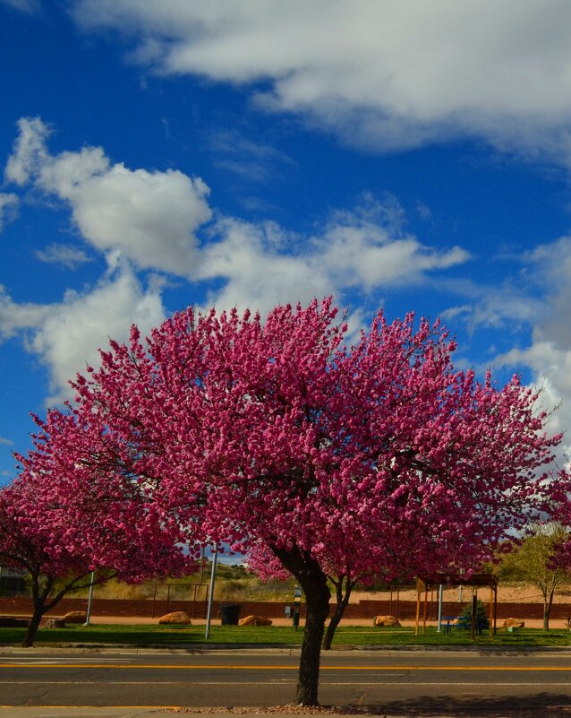 Весна - Таня Фиалка