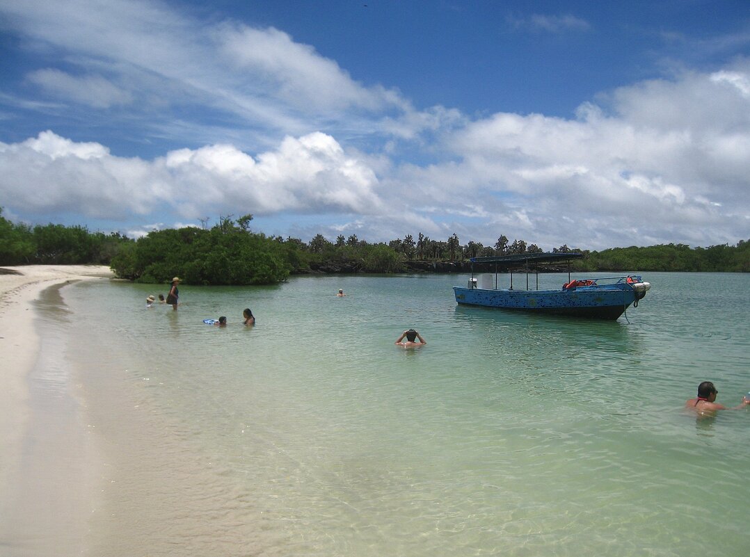 На Галапагосских островах. - unix (Илья Утропов) На Галапагосских островах. - unix (Илья Утропов)